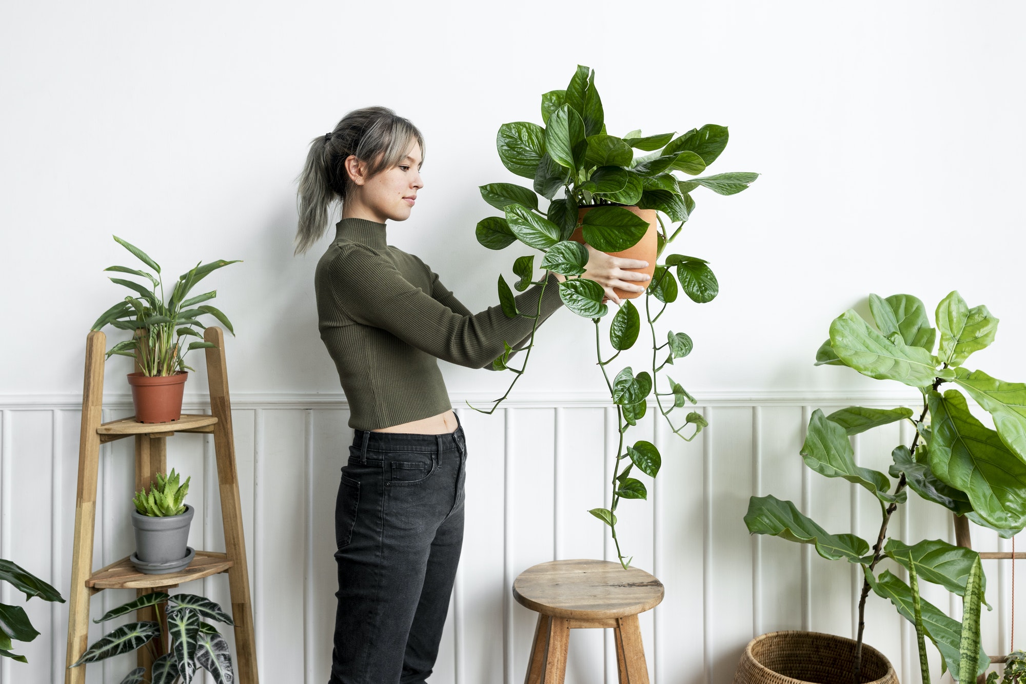 happy-woman-carrying-a-houseplant.jpg happy-woman-carrying-a-houseplant.jpg